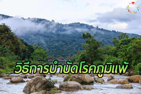 3 สถานที่ท่องเที่ยวบำบัดคนเป็น โรคภูมิแพ้